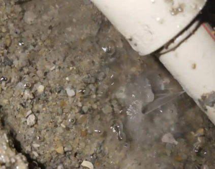 周宁测漏水电话号码